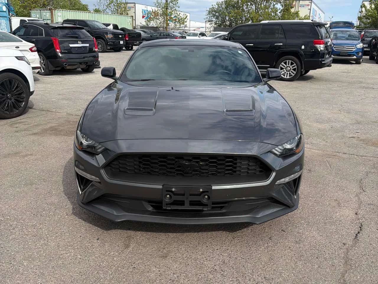 Ford Mustang * EcoBoost * CARFAX * ЦЕНА ДО БГ, снимка 2 - Автомобили и джипове - 54729313