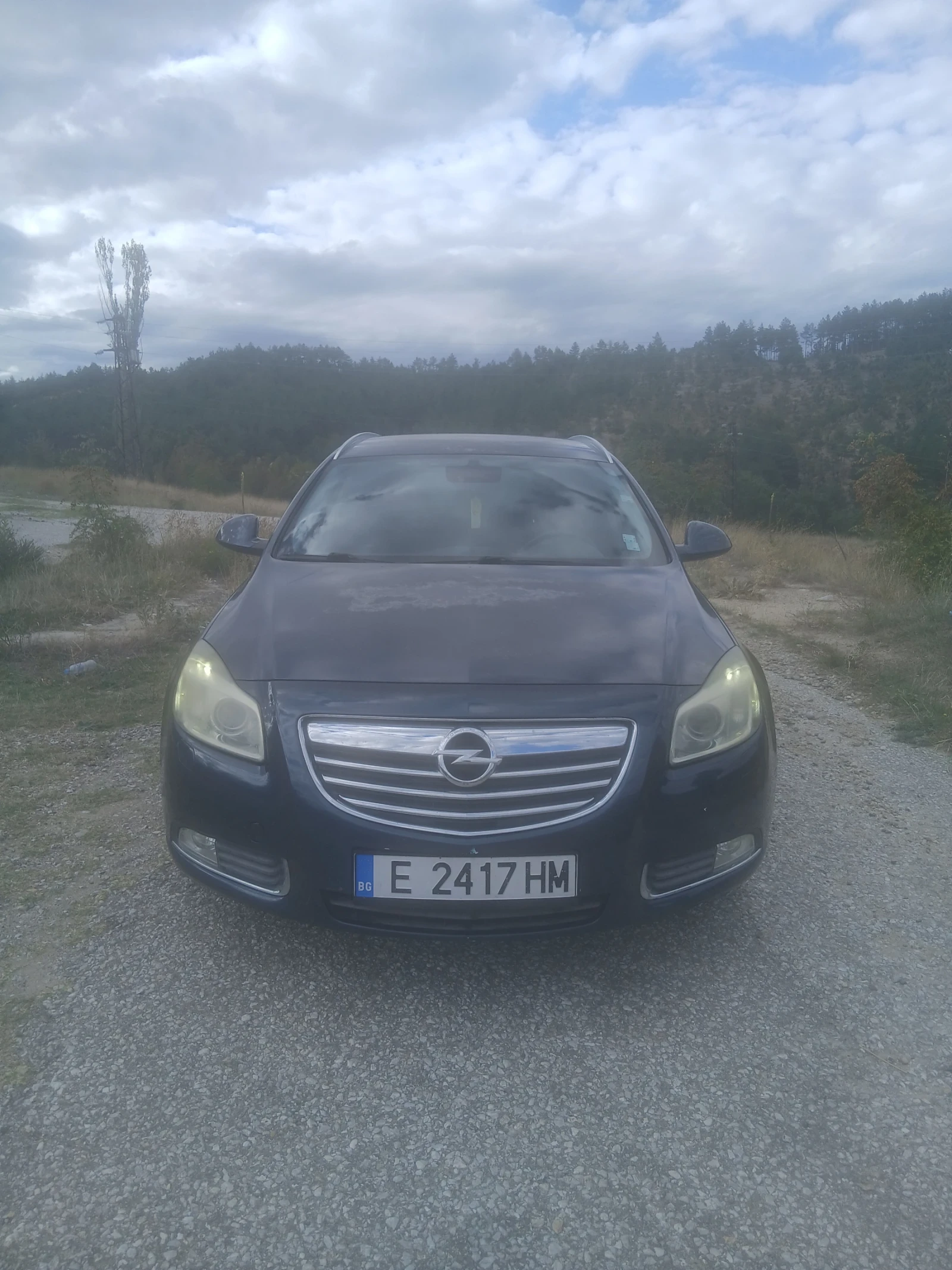 Opel Insignia, снимка 2 - Автомобили и джипове - 56310590
