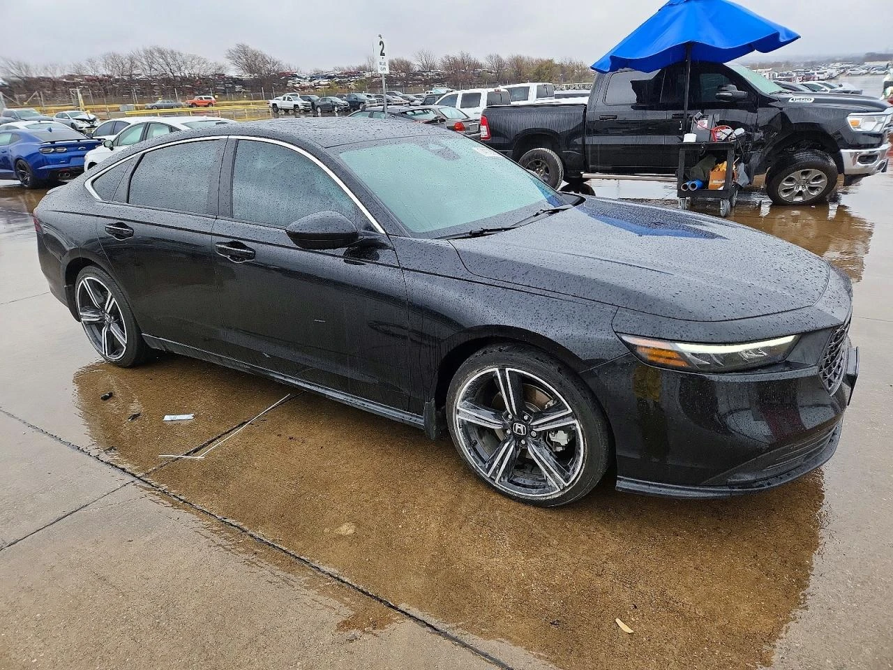 Honda Accord * Hybrid Sport* , снимка 4 - Автомобили и джипове - 54144682