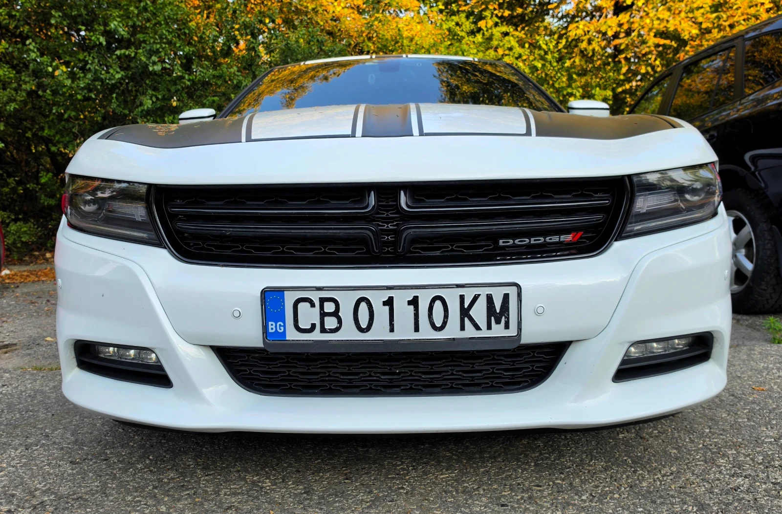Dodge Charger 3, 6 4x4, снимка 2 - Автомобили и джипове - 55798557