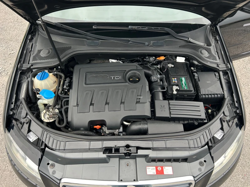 Audi A3 1.6TDI, снимка 14 - Автомобили и джипове - 52593953