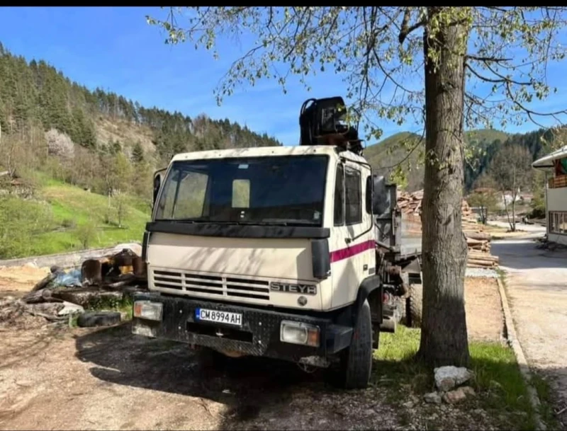 Steyr 17S23, снимка 1 - Камиони - 48784500