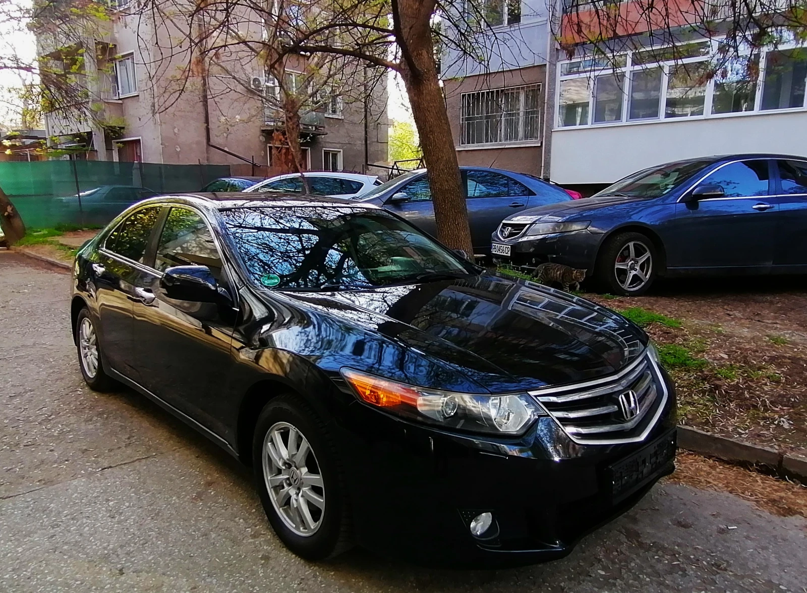 Honda Accord 2010г.2.0 i-VTEC-c История - изображение 4
