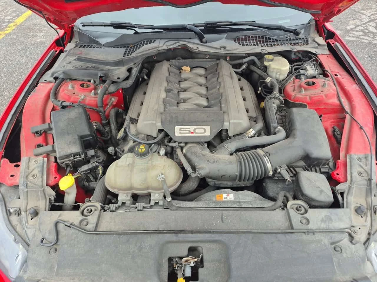 Ford Mustang * GT * CARFAX * ЦЕНА ДО БГ, снимка 13 - Автомобили и джипове - 54823739