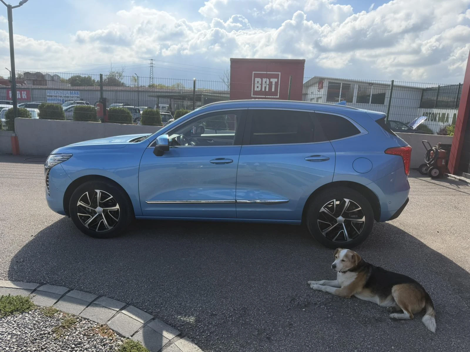 Haval Jolion  Haval Jolion 1.5 GWM | Mobile.bg � ����������� 8