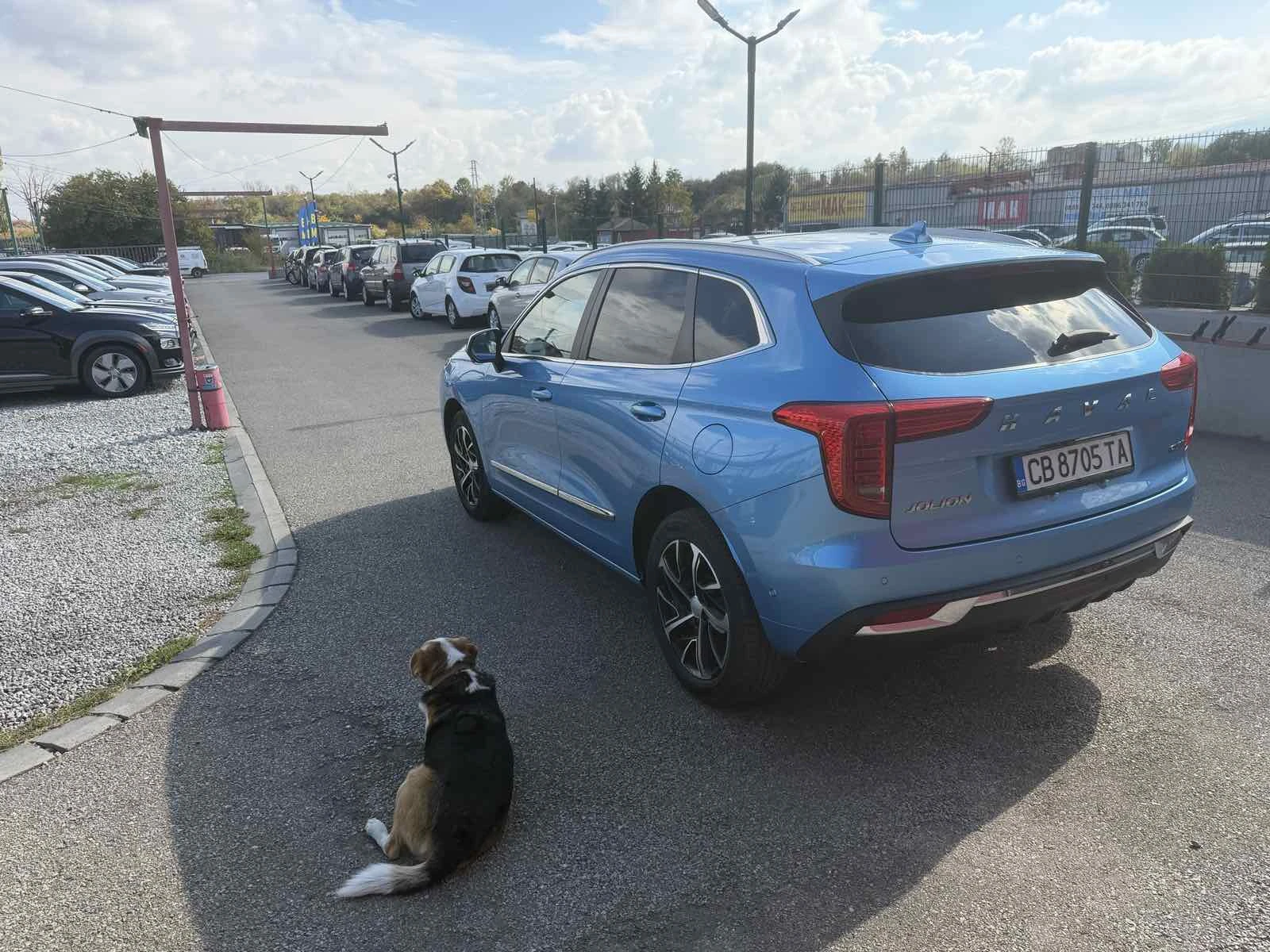 Haval Jolion  Haval Jolion 1.5 GWM | Mobile.bg � ����������� 6