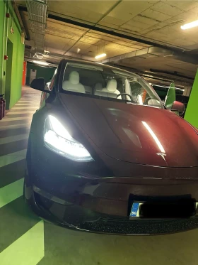     Tesla Model Y Performance 