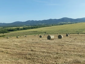 ����������� John Deere F440E ����� | Mobile.bg � ����� ������ 9