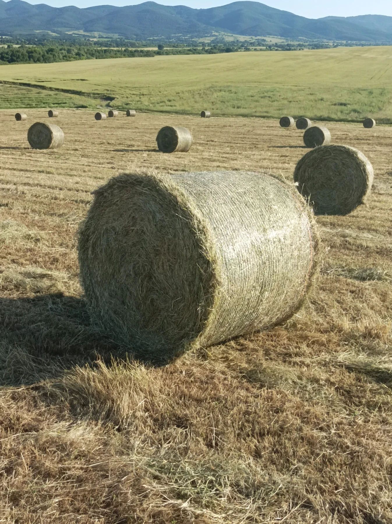 ����������� John Deere F440E ����� | Mobile.bg � ����������� 6