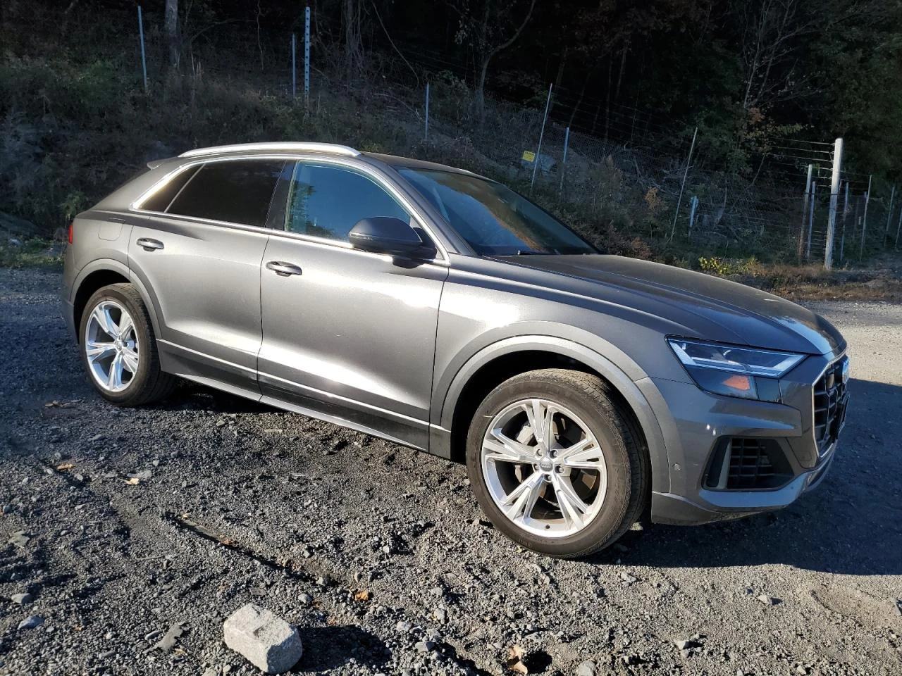 Audi Q8 PREMIUM PLUS 55 TFSI - изображение 3