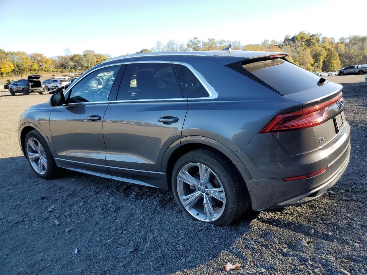 Audi Q8 PREMIUM PLUS 55 TFSI - изображение 4