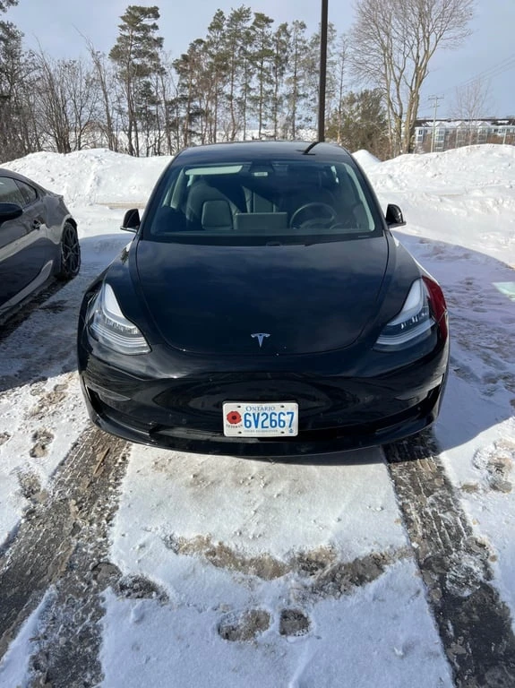 Tesla Model 3 | Long Range | CARFAX | DUAL MOTOR, снимка 3 - Автомобили и джипове - 53361332