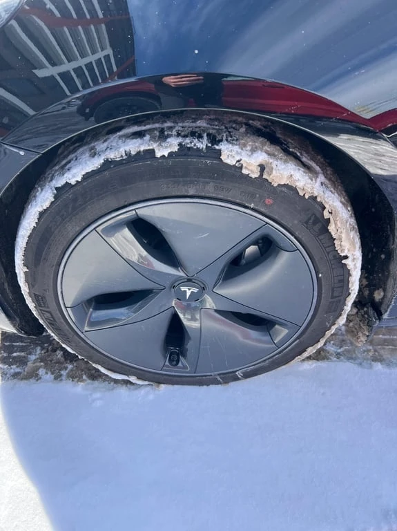 Tesla Model 3 | Long Range | CARFAX | DUAL MOTOR, снимка 7 - Автомобили и джипове - 53361332