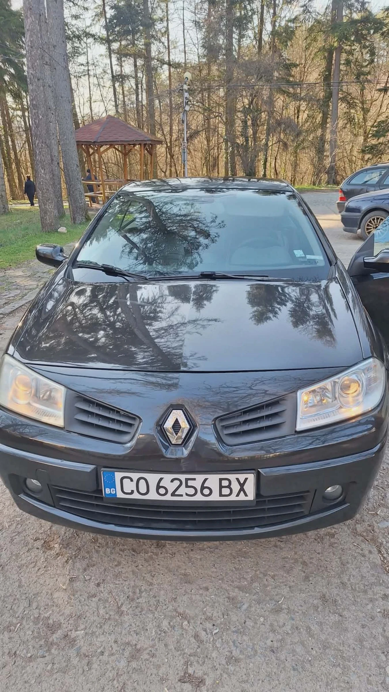 Renault Megane, снимка 3 - Автомобили и джипове - 55013830