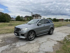     Mercedes-Benz ML 250 W166