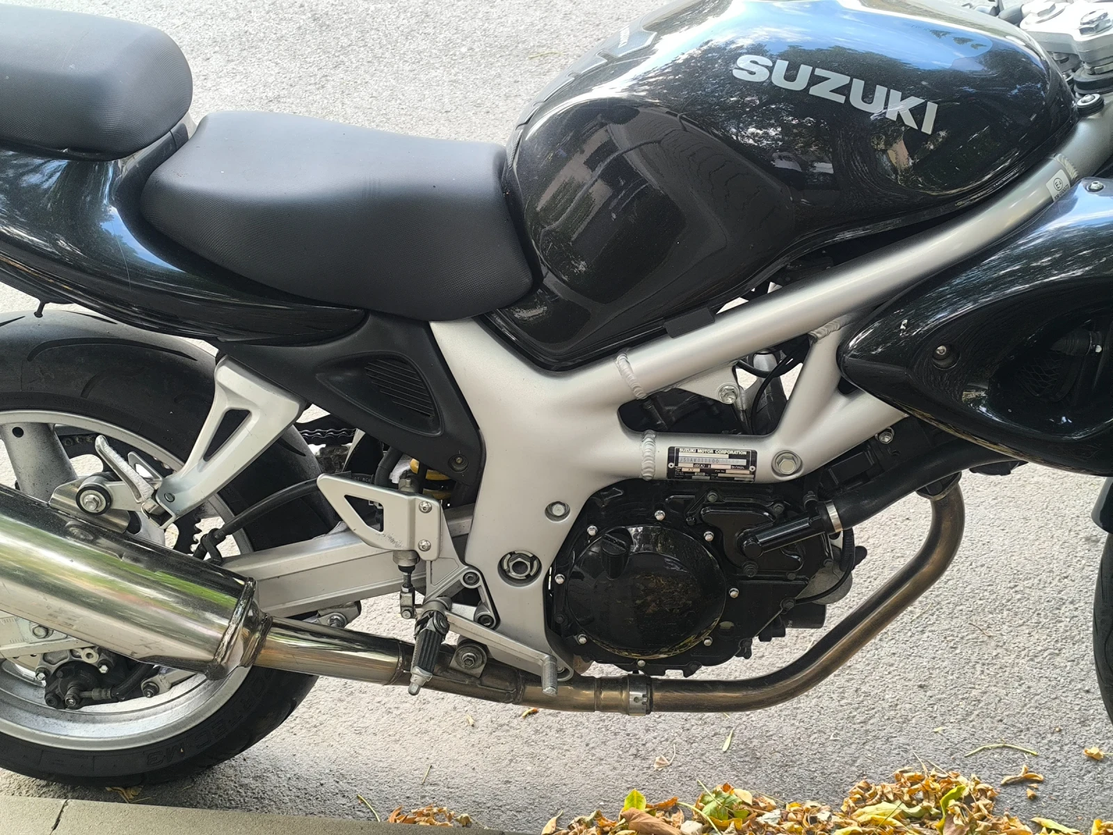 Suzuki SV SV650s V-Twin - изображение 2