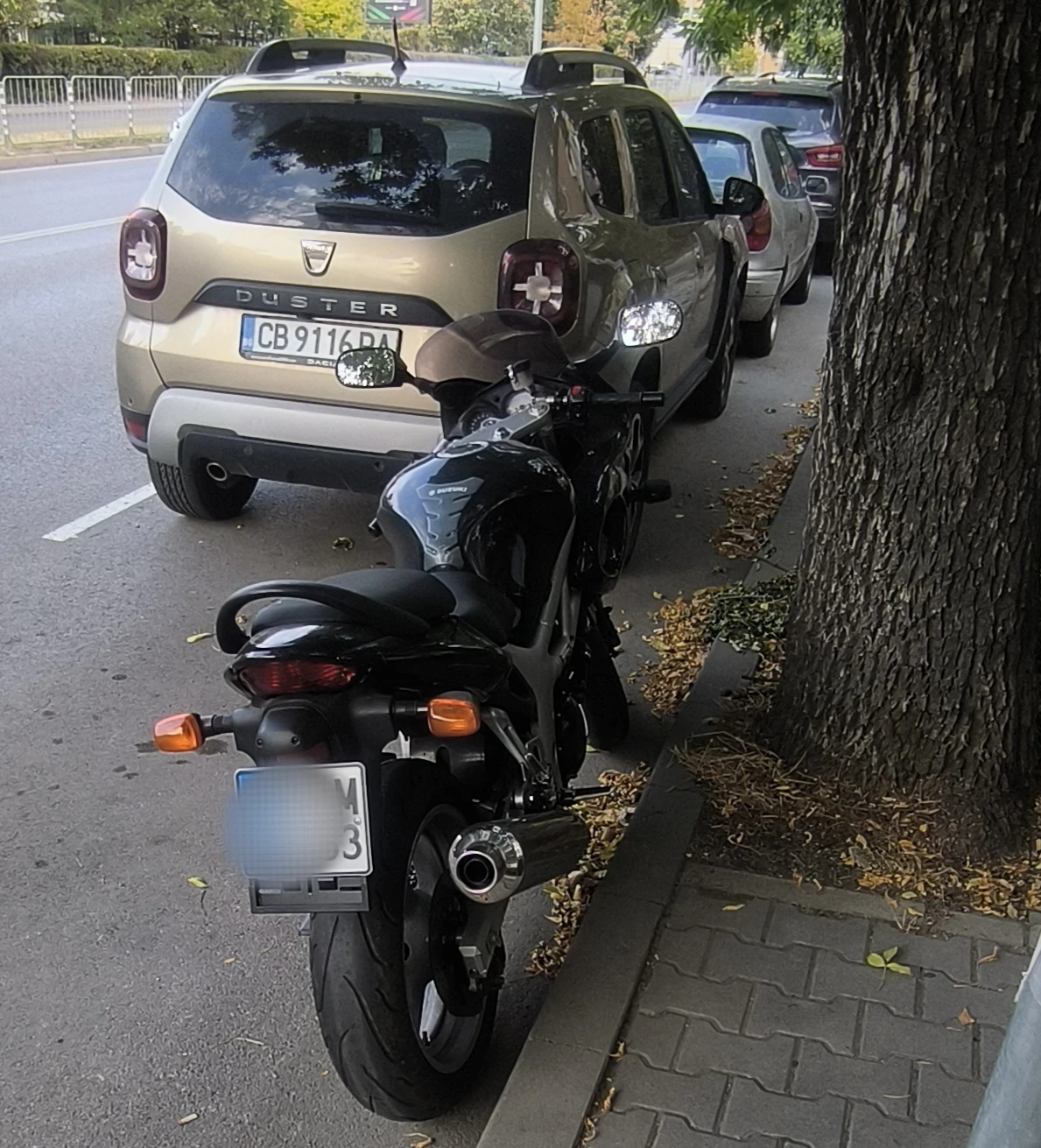 Suzuki SV SV650s V-Twin - изображение 5