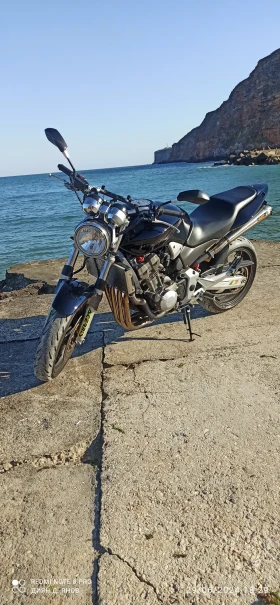 Honda Hornet, снимка 2