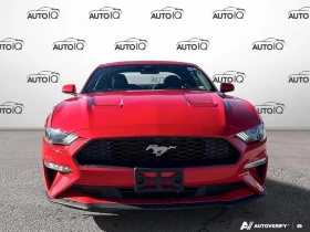 Ford Mustang * EcoBoost* АвтоКредит* (ЦЕНА ДО БГ) - 21999 € / 43026.30 лв. - 61329215 2
