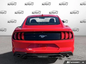 Ford Mustang * EcoBoost* АвтоКредит* (ЦЕНА ДО БГ) - 21999 € / 43026.30 лв. - 61329215 4
