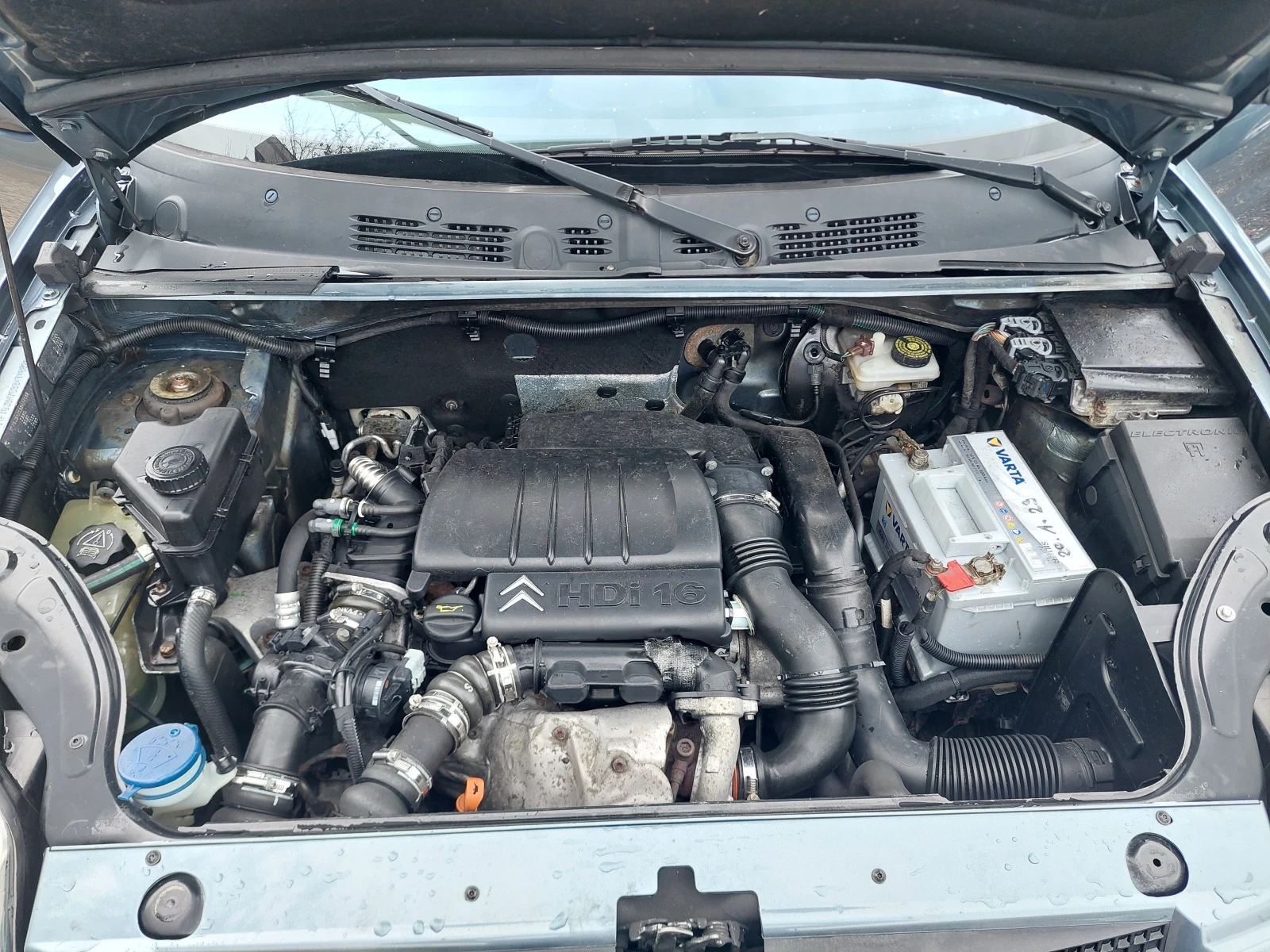 Citroen Berlingo 44--  | Mobile.bg   12