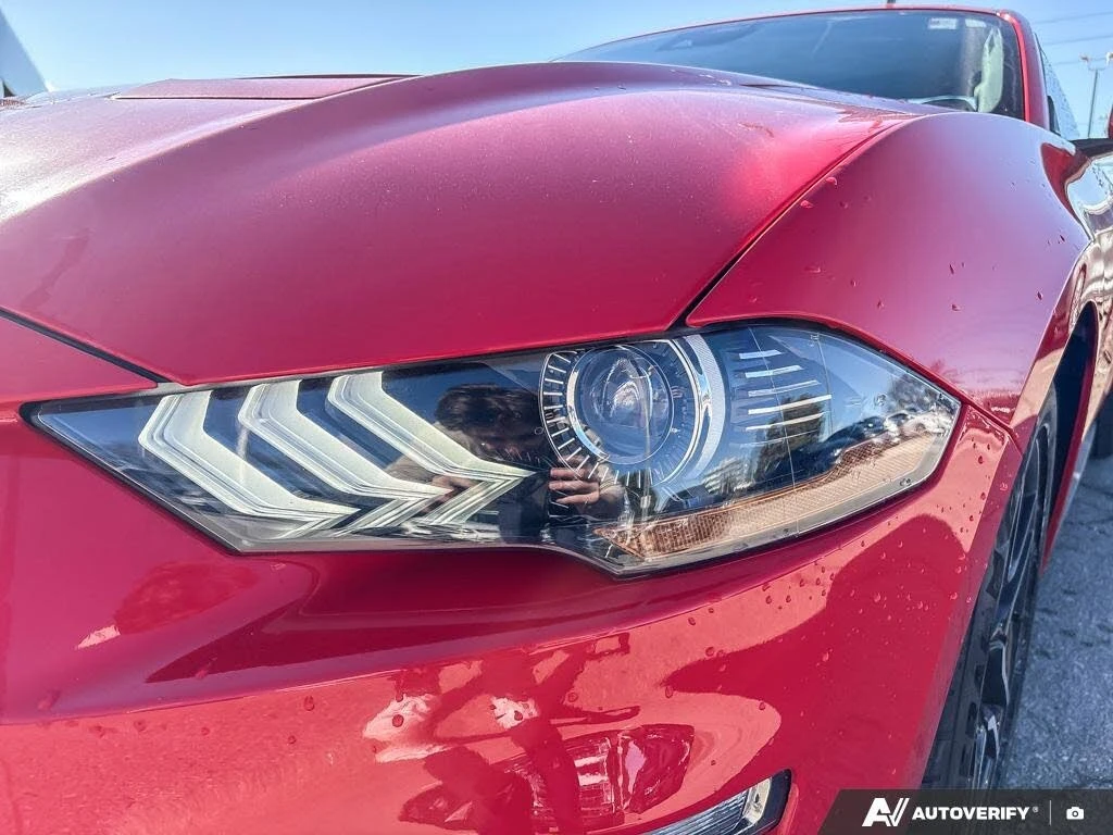 Ford Mustang * EcoBoost* АвтоКредит* (ЦЕНА ДО БГ), снимка 5 - Автомобили и джипове - 54159610