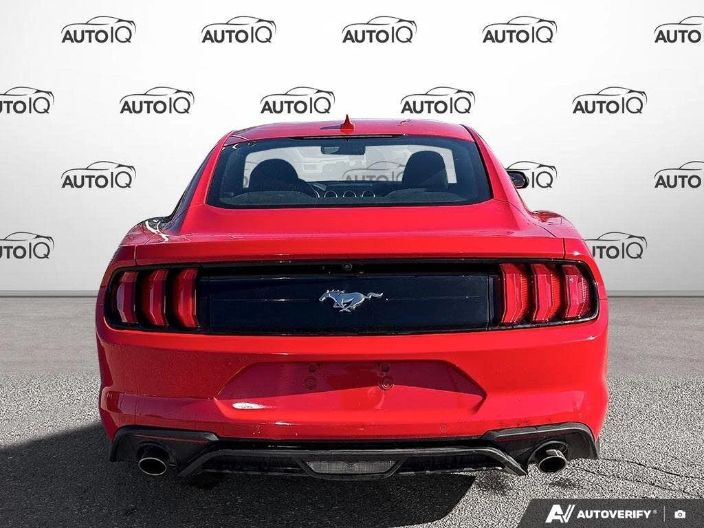 Ford Mustang * EcoBoost* АвтоКредит* (ЦЕНА ДО БГ), снимка 4 - Автомобили и джипове - 54159610