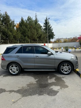 Обява за продажба на Mercedes-Benz ML 250 ~24 000 лв. - изображение 2