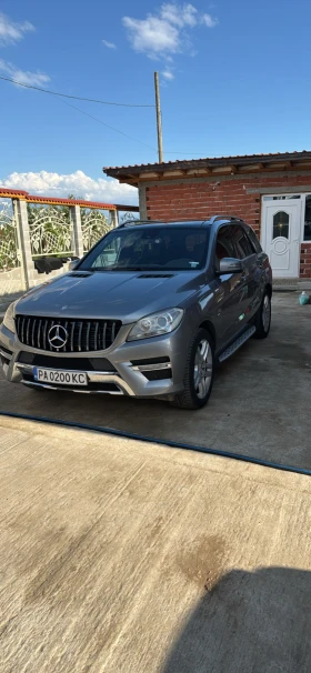     Mercedes-Benz ML 250