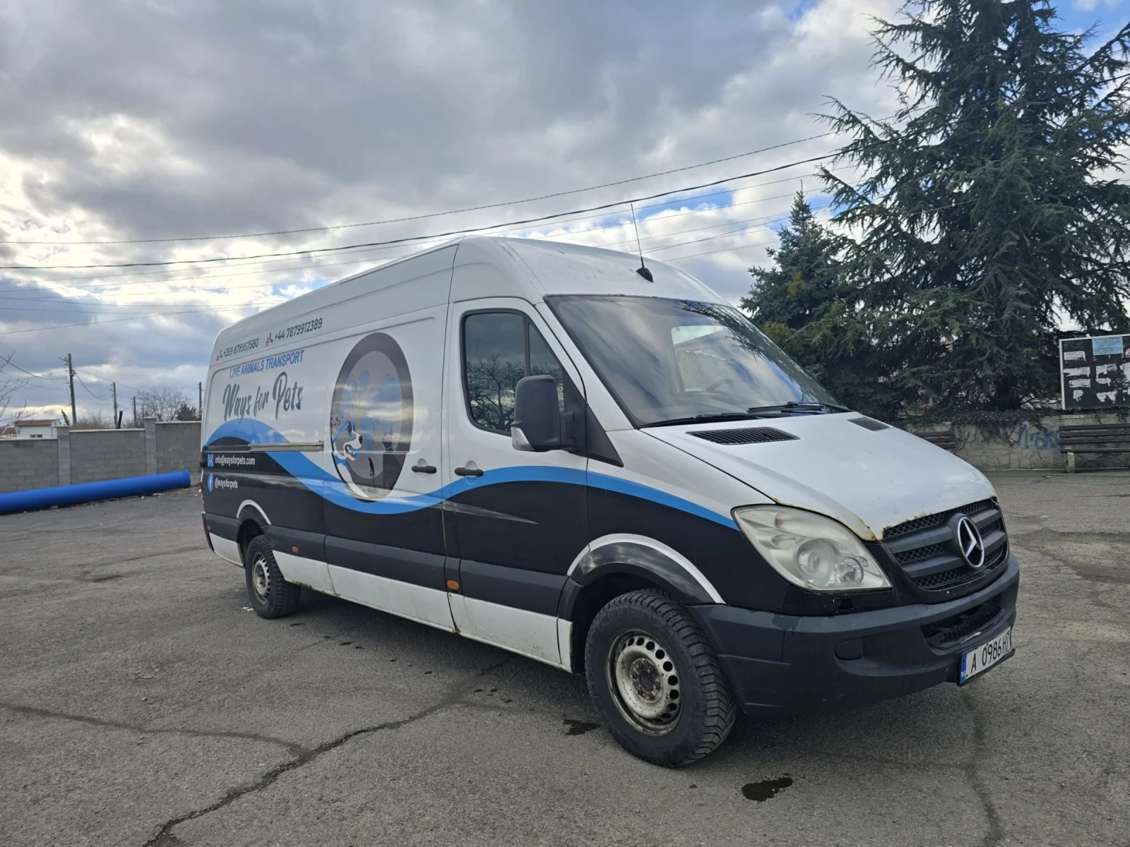 Mercedes-Benz Sprinter 319 Термо - изображение 3