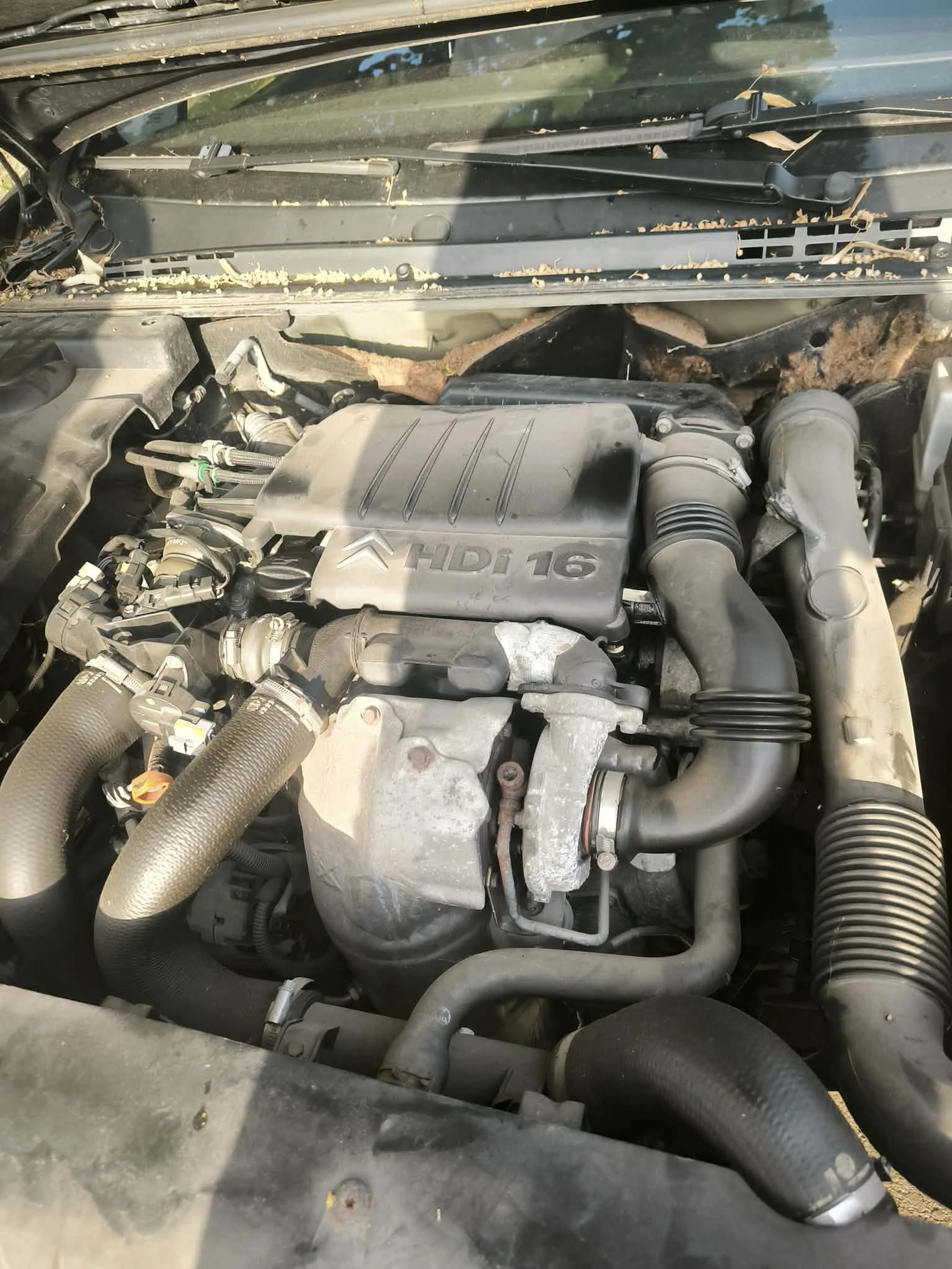 Citroen C5, снимка 11 - Автомобили и джипове - 54795883