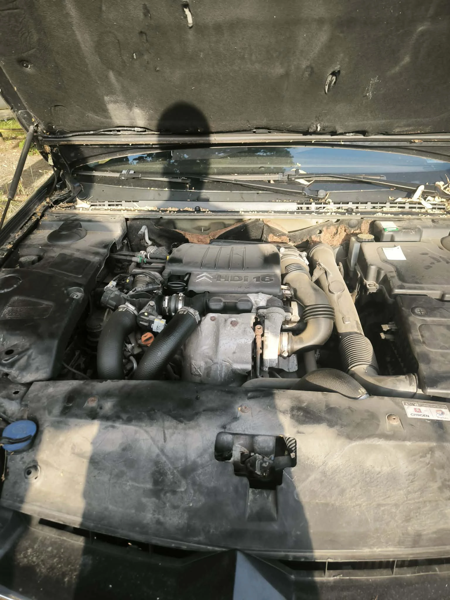 Citroen C5, снимка 8 - Автомобили и джипове - 54795883
