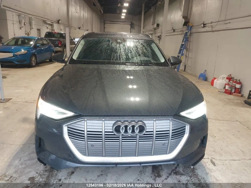 Audi E-Tron PRESTIGE - изображение 10