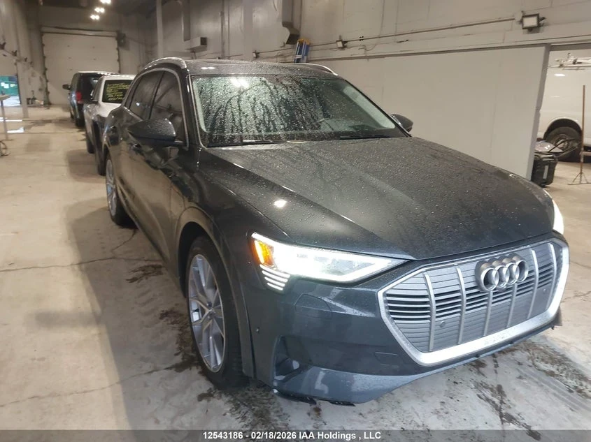 Audi E-Tron PRESTIGE - изображение 2