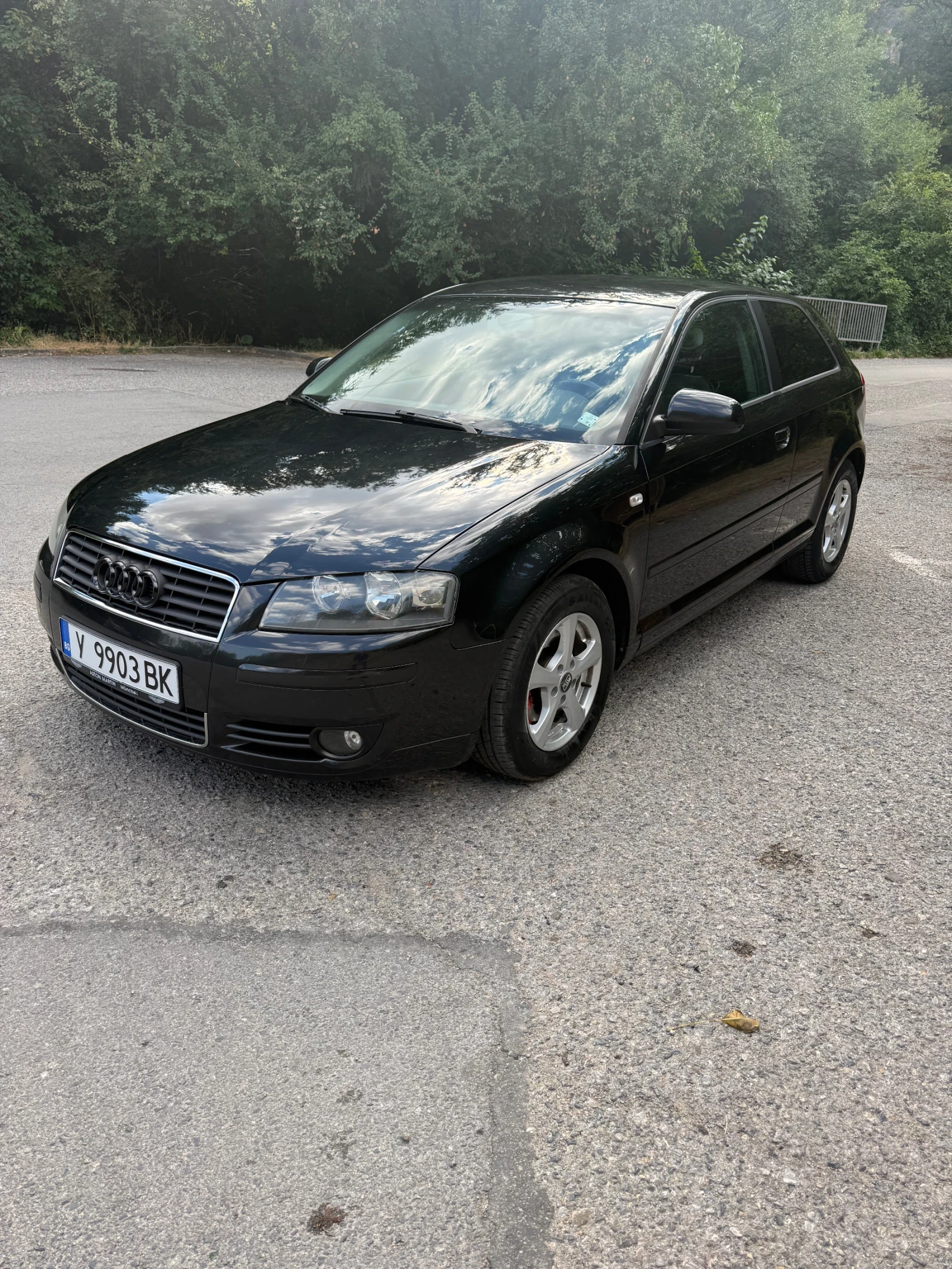 Audi A3 1.9 TDI bose | Mobile.bg � ����������� 6