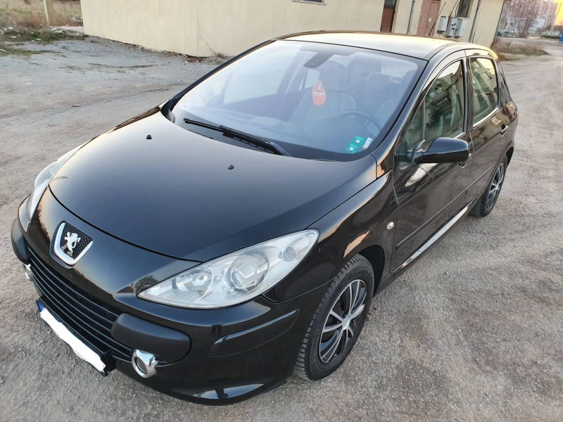 Peugeot 307 1.6 GAS, снимка 6 - Автомобили и джипове - 52851888