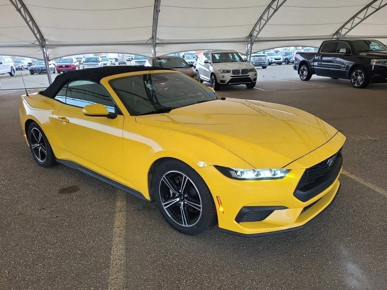 Ford Mustang CARFAX* АВТОФИНАНСИРАНЕ БЕЗ ПЪРВОНАЧАЛНА ВНОСКА - изображение 2
