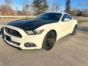 Ford Mustang Fastback EcoBoost
