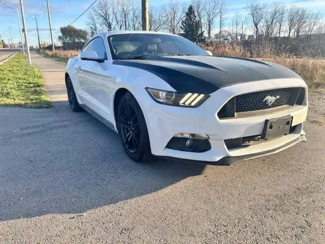 Ford Mustang Fastback EcoBoost, снимка 3 - Автомобили и джипове - 53881115