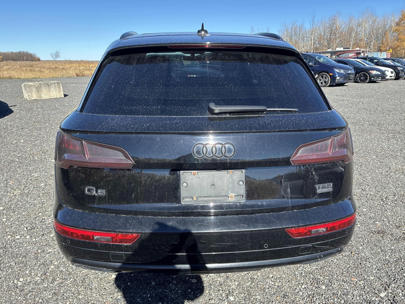 Audi Q5 Progressiv * АвтоКредит * (ЦЕНА ДО БГ), снимка 3 - Автомобили и джипове - 56721650
