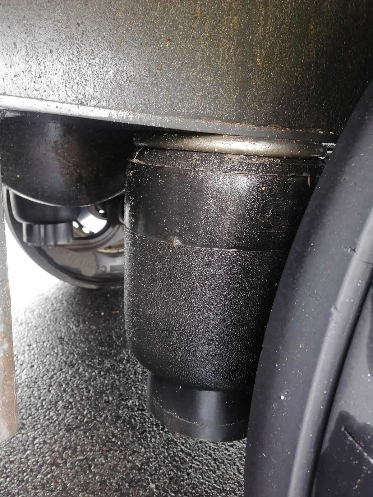 ����������� Krone SD | Mobile.bg � ����������� 2