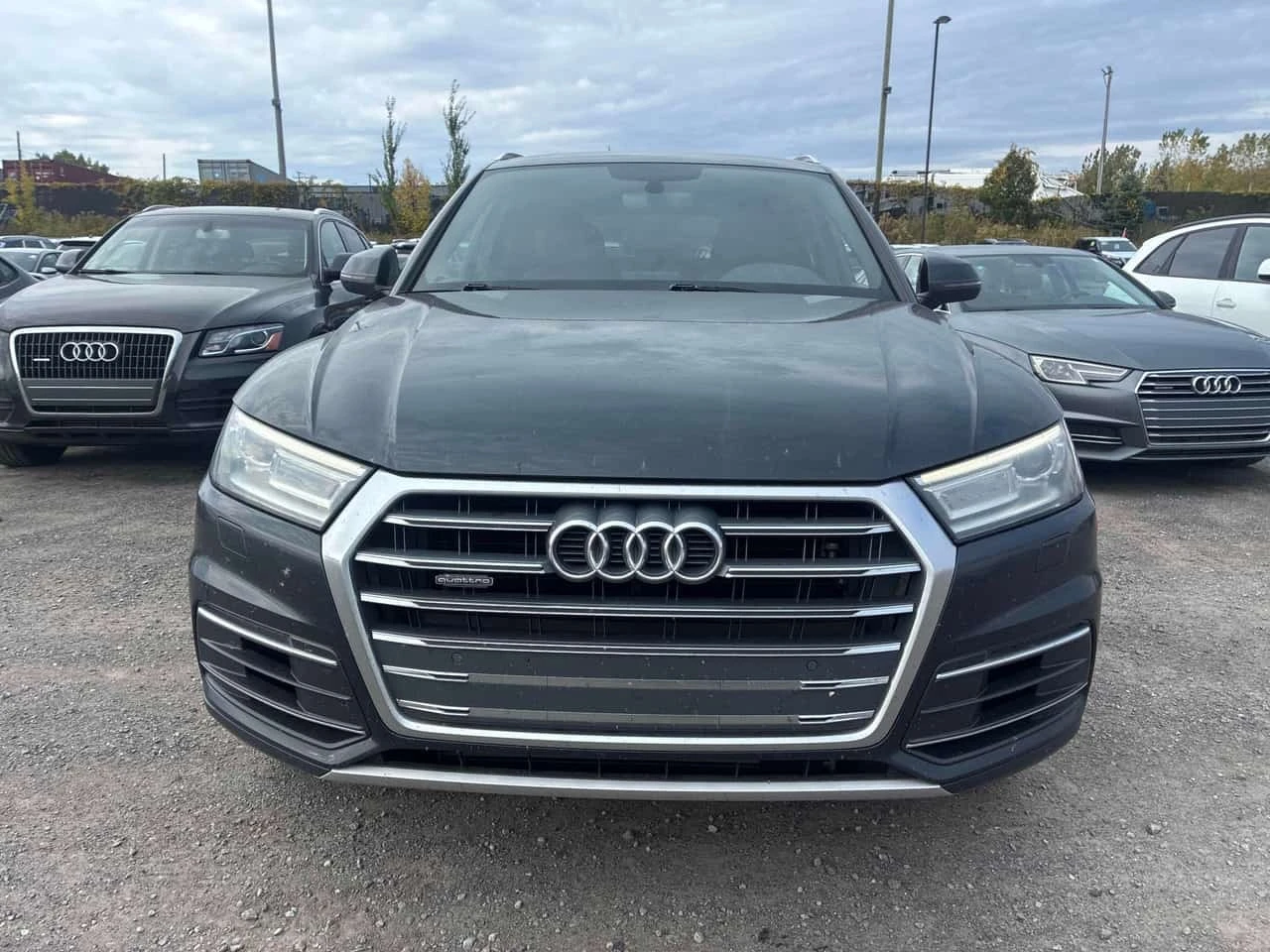Audi Q5 QUATTRO * ������ ���������������� �� AUDI*  | Mobile.bg � ����������� 2