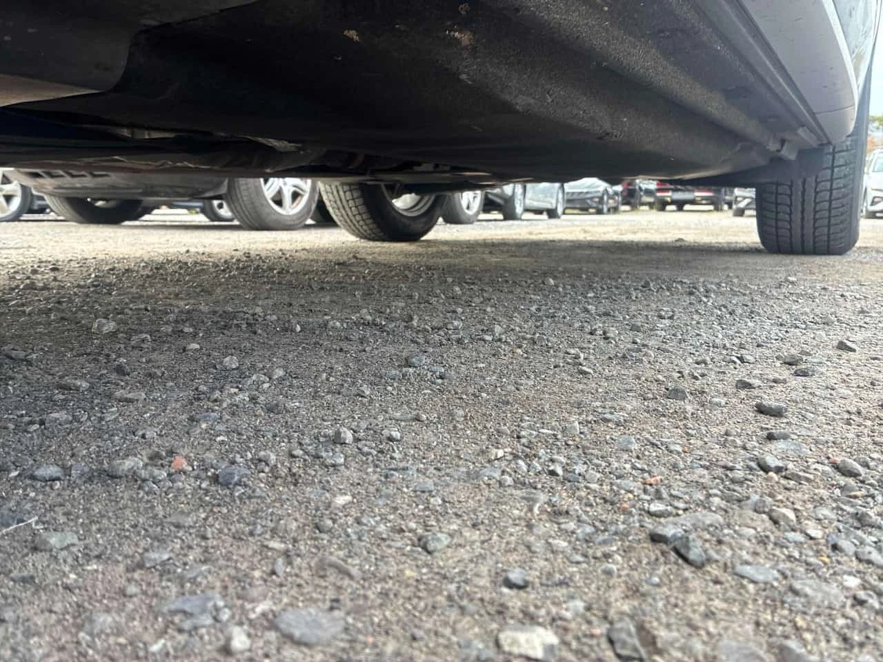 Audi Q5 QUATTRO * ������ ���������������� �� AUDI*  | Mobile.bg � ����������� 15