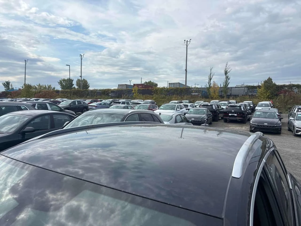 Audi Q5 QUATTRO * ������ ���������������� �� AUDI*  | Mobile.bg � ����������� 14