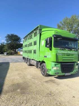Обява за продажба на Daf XF 105 ~60 000 лв. - изображение 4