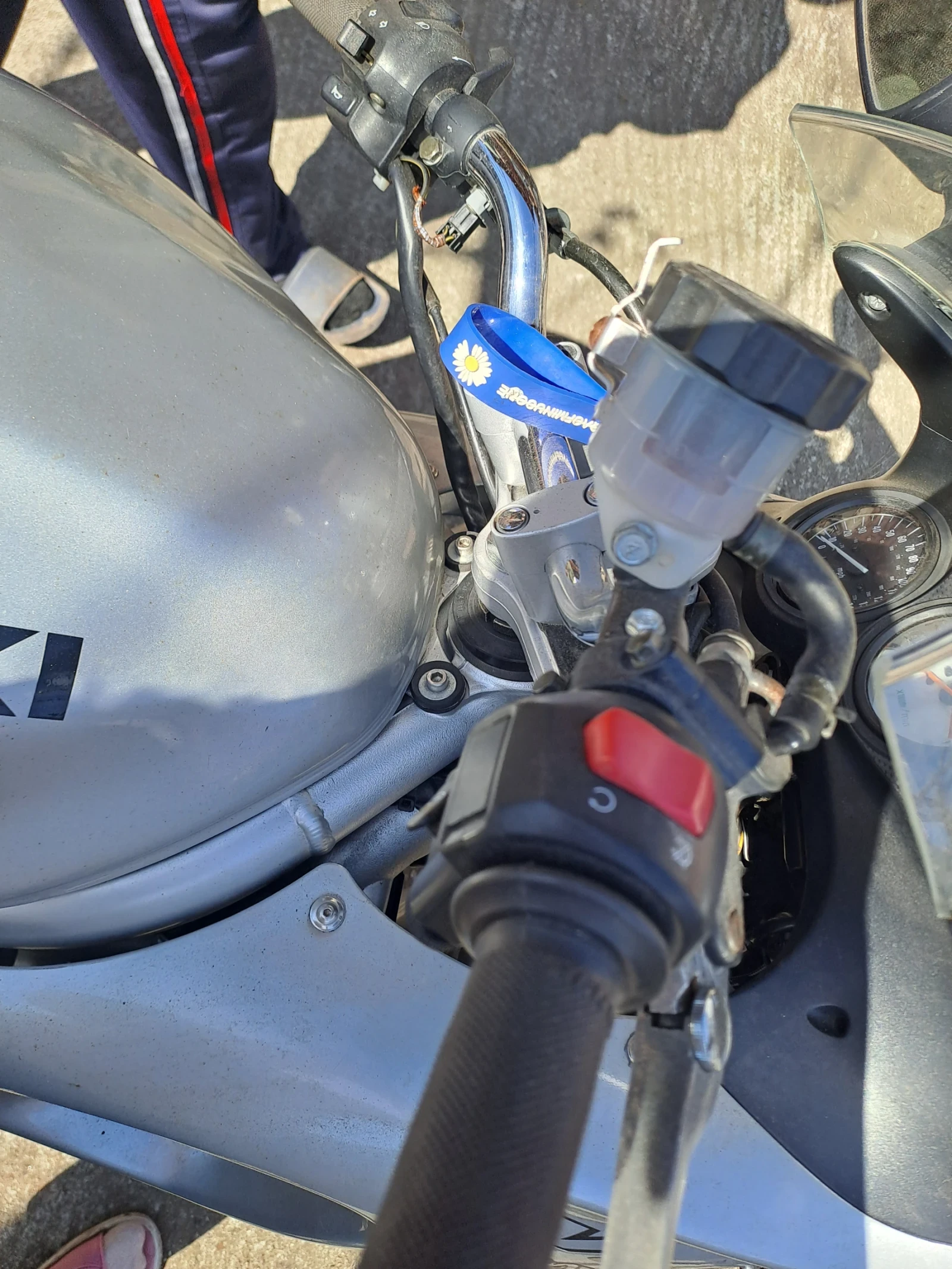 Suzuki SV  - изображение 2