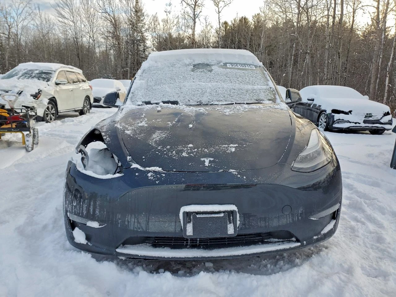Tesla Model Y Long Range AWD 425кс, снимка 5 - Автомобили и джипове - 53903374