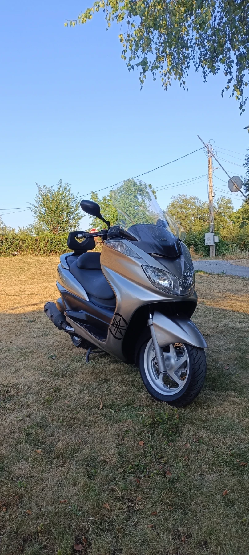 Yamaha Majesty  - изображение 2