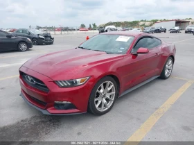 Ford Mustang EcoBoost 50th Anniversary *  *  | Mobile.bg    1