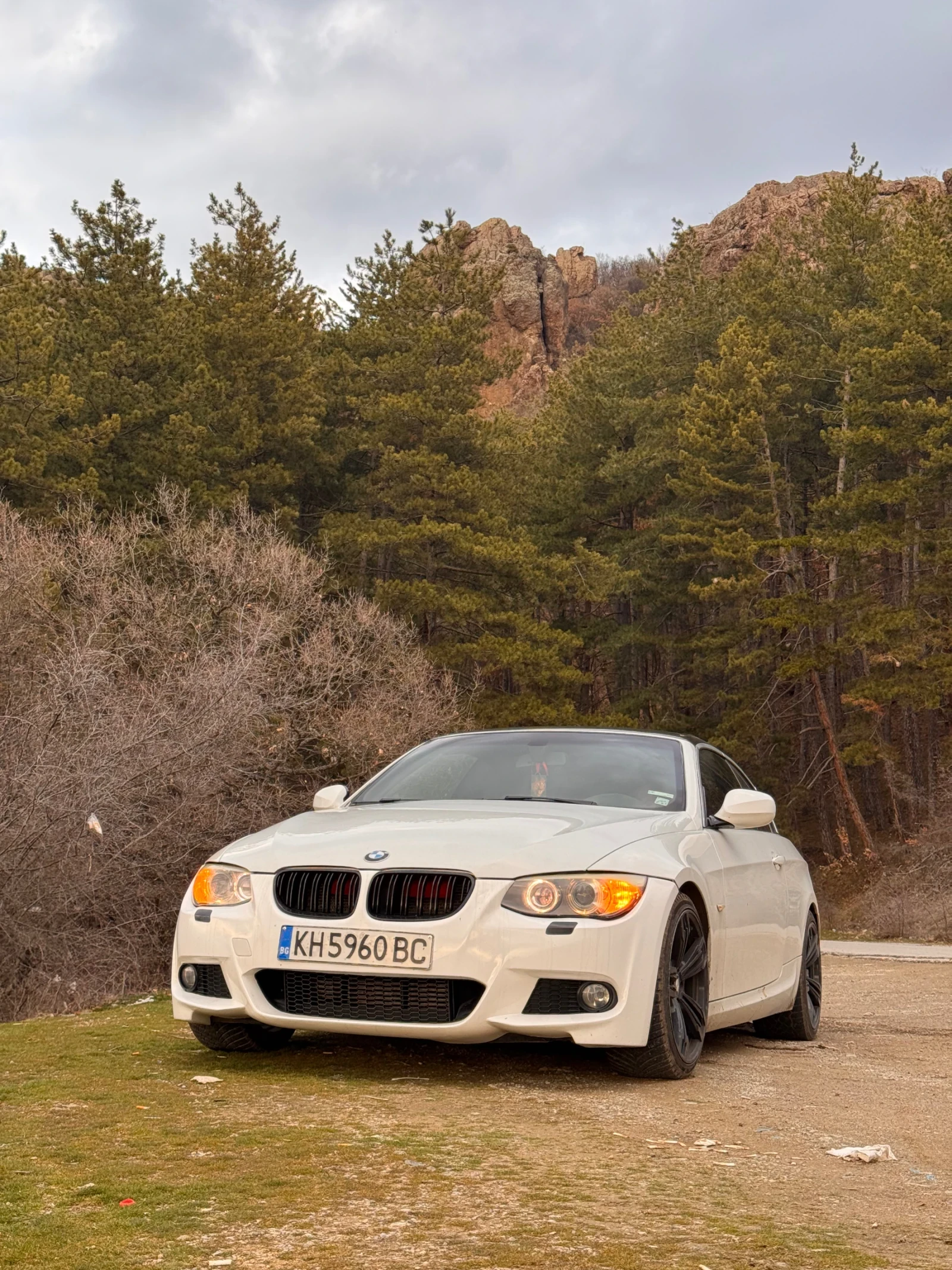 BMW 330, снимка 3 - Автомобили и джипове - 55374419